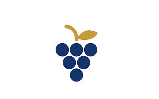 Fincas y viñedos
